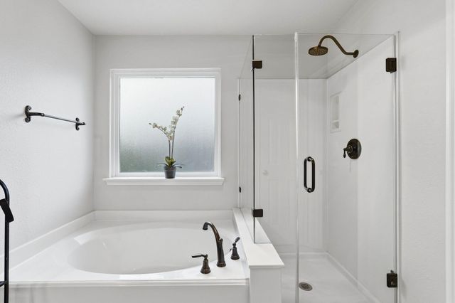 51 Wineberry Place, Spring, TX 77382