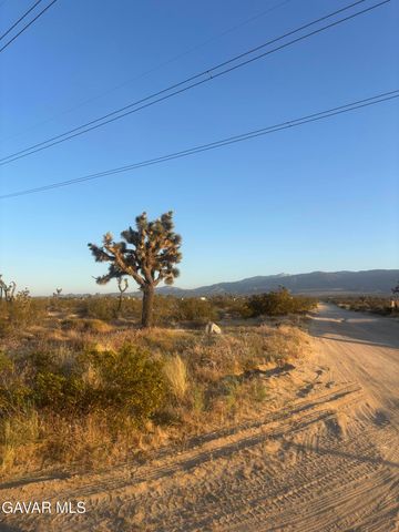0 E Vic Avenue V4 260 Ste Street, Palmdale, CA 93591