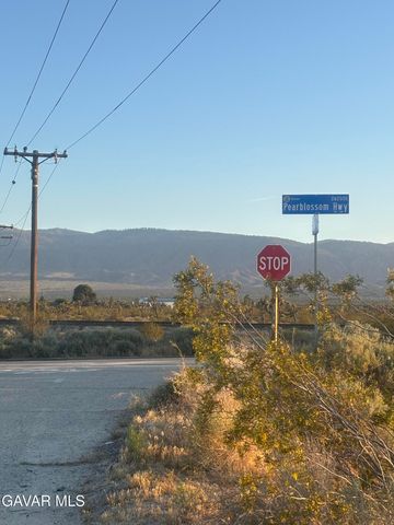 0 E Vic Avenue V4 260 Ste Street, Palmdale, CA 93591