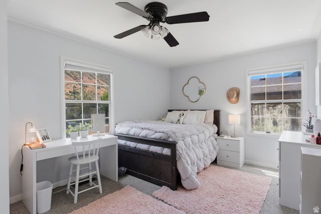 731 N 1050 E, Provo, UT 84606