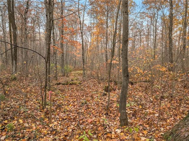 0 Dream Catcher Rd, Hayward, WI 54843
