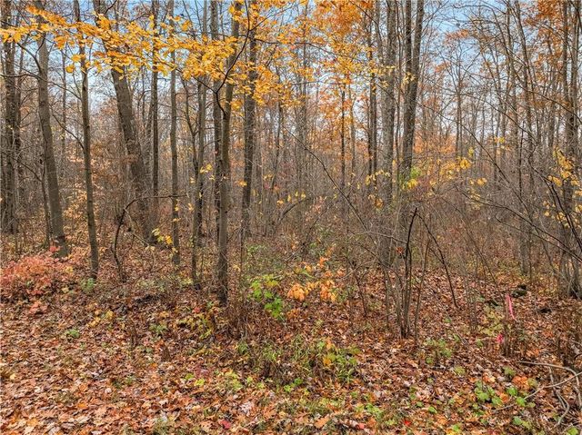 0 Dream Catcher Rd, Hayward, WI 54843