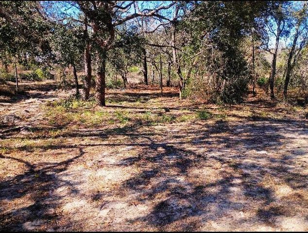 10367 FLYCATCHER ROAD, Brooksville, FL 34613