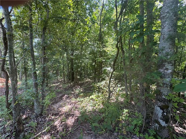 Lot 59 Posy Mountain Drive, Garfield, AR 72732