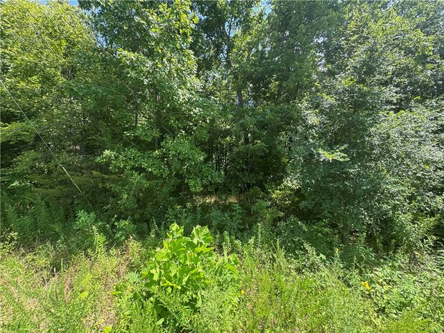 Lot 59 Posy Mountain Drive, Garfield, AR 72732
