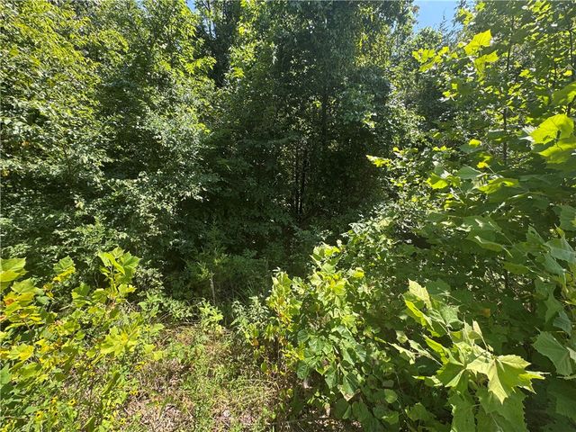 Lot 59 Posy Mountain Drive, Garfield, AR 72732