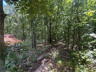 Lot 59 Posy Mountain Drive, Garfield, AR 72732