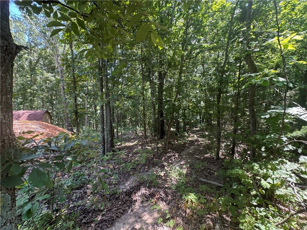 Lot 59 Posy Mountain Drive, Garfield, AR 72732