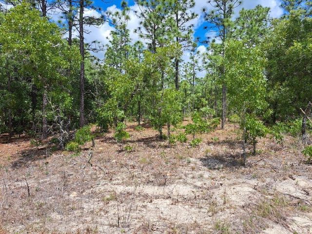 0 SW 125 TERRACE, Dunnellon, FL 34432