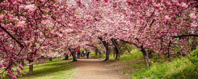 480 Central Park W Apt 1C, New York City, NY 10025