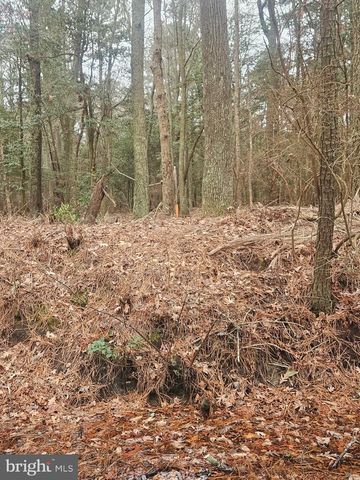 11530 COUNTRY CLUB DR, Berlin, MD 21811