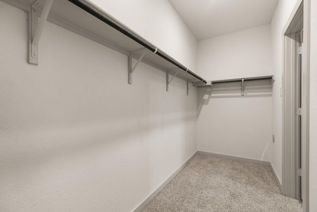 117 New Hampton WAY, San Marcos, TX 78666