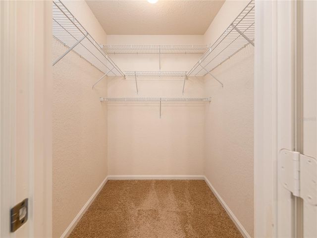 16322 PARKSTONE PALMS COURT, Tampa, FL 33647