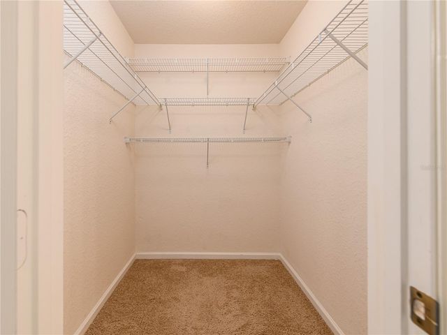 16322 PARKSTONE PALMS COURT, Tampa, FL 33647