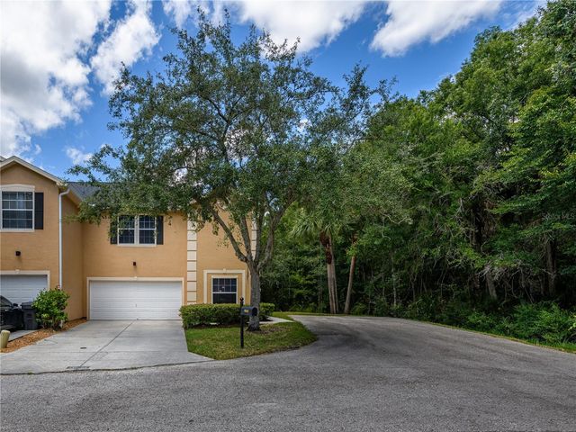 16322 PARKSTONE PALMS COURT, Tampa, FL 33647