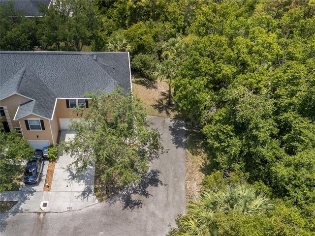 16322 PARKSTONE PALMS COURT, Tampa, FL 33647