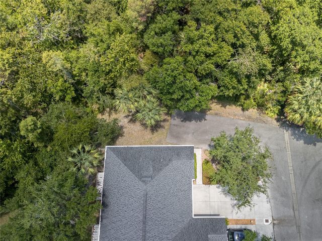 16322 PARKSTONE PALMS COURT, Tampa, FL 33647