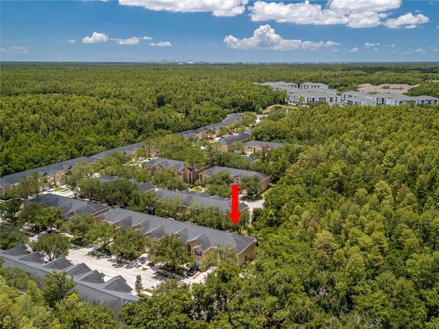 16322 PARKSTONE PALMS COURT, Tampa, FL 33647
