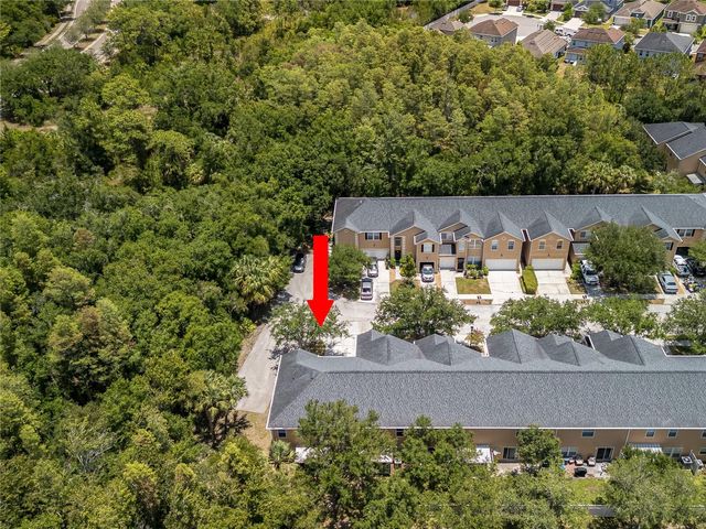16322 PARKSTONE PALMS COURT, Tampa, FL 33647