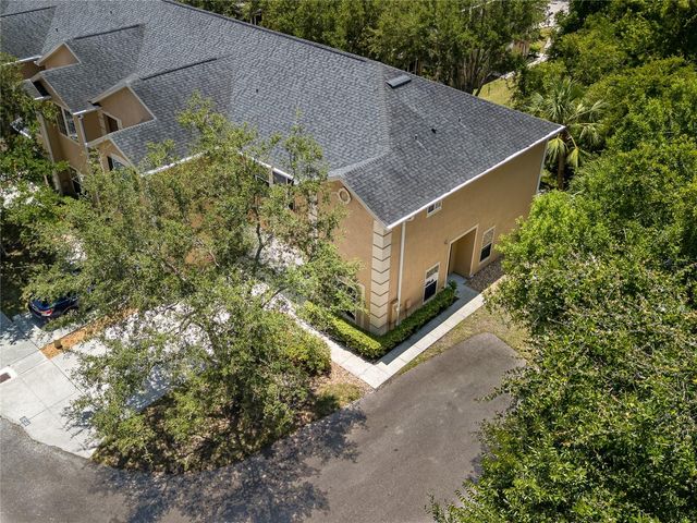 16322 PARKSTONE PALMS COURT, Tampa, FL 33647