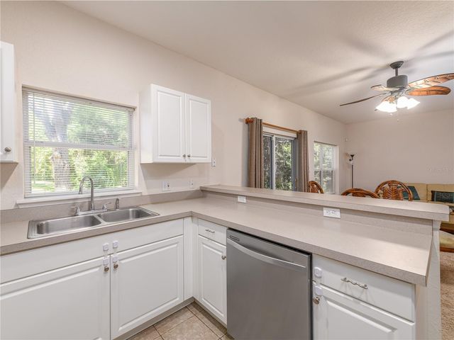 16322 PARKSTONE PALMS COURT, Tampa, FL 33647