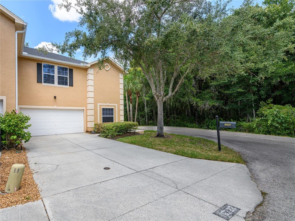 16322 PARKSTONE PALMS COURT, Tampa, FL 33647