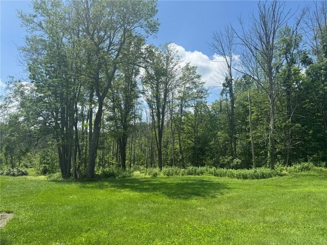 504 Whites Hill Road, Guilford, NY 13780