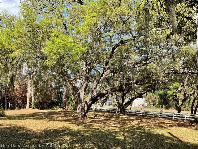 340 Bottlebrush Avenue, Lake Placid, FL 33852