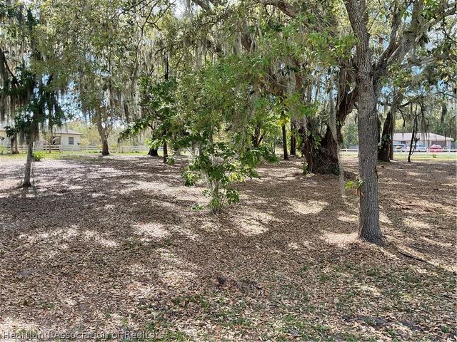 340 Bottlebrush Avenue, Lake Placid, FL 33852