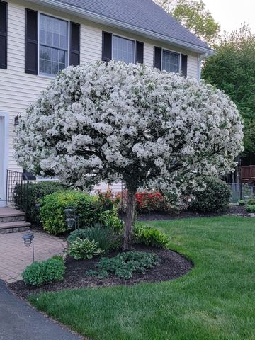 19 Alder Creek Lane, Rochester, NH 03868