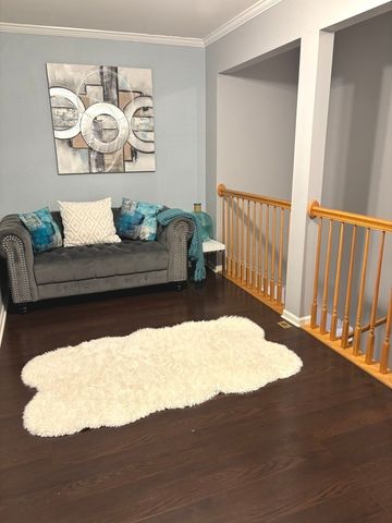 549 Springbrook Trail N, Oswego, IL 60543