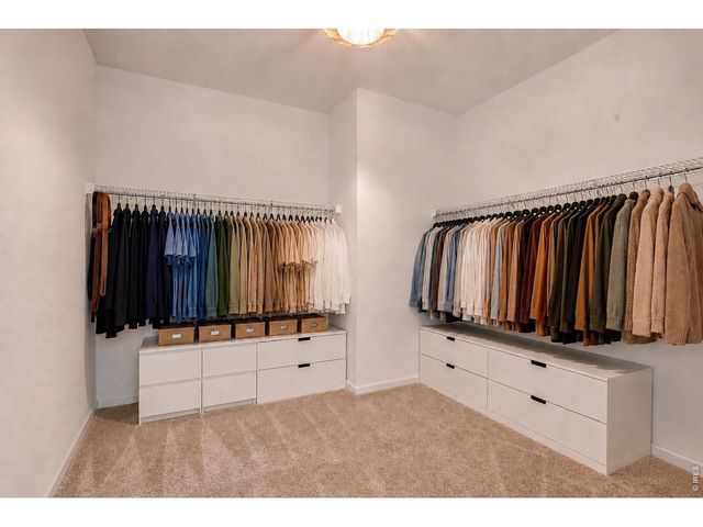 1639 Dancing Cattail Dr, Fort Collins, CO 80528