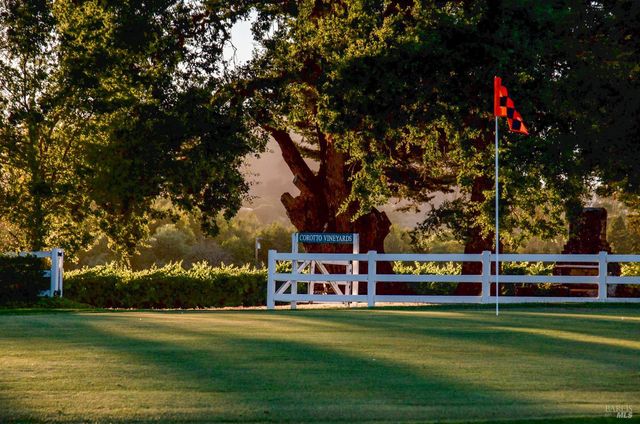 1129 Dealy Ln, Napa, CA 94559