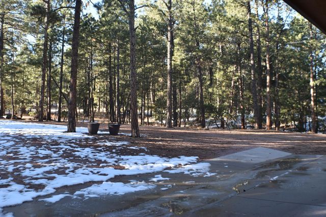 14540 Rosholt Loop, Colorado Springs, CO 80921