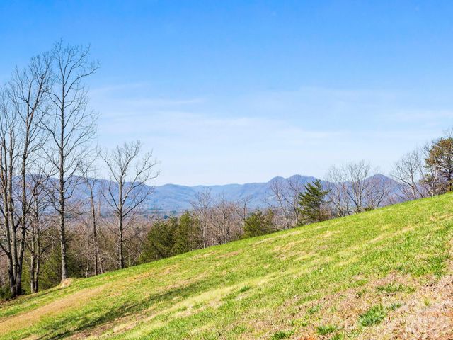 25 Preservation Trail, Columbus, NC 28722