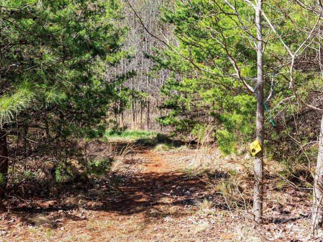 25 Preservation Trail, Columbus, NC 28722