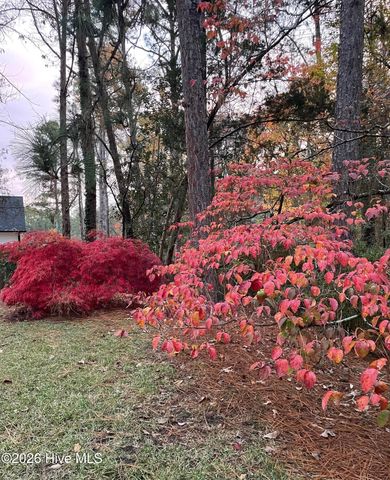 957 Sandavis Road, Southern Pines, NC 28387