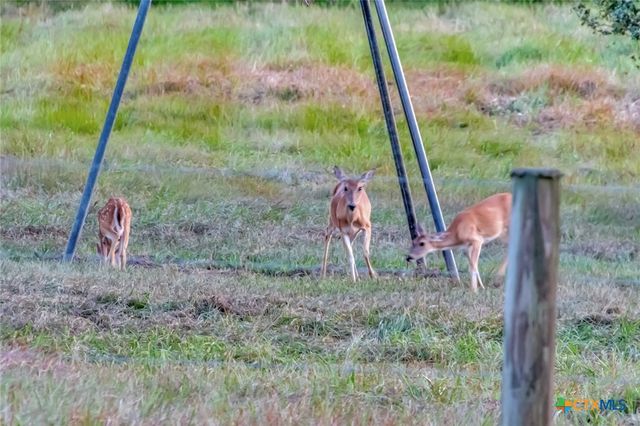 2698 County Road 284, Edna, TX 77957