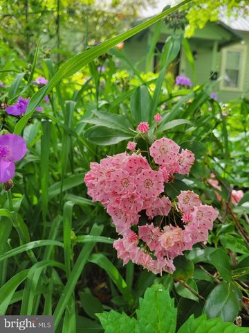 1213 MCKINLEY ST, Annapolis, MD 21403