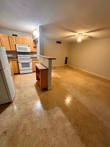 305 E DAKIN AVENUE 11, Kissimmee, FL 34741