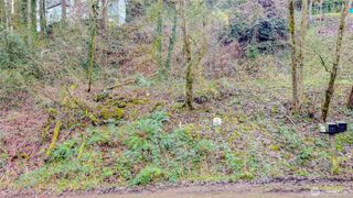 2415 NE 178th Street, Shoreline, WA 98155