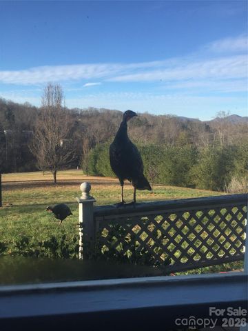 651 Case Cove Road, Candler, NC 28715