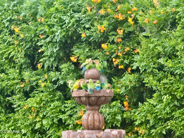 4710 N 78TH Street, Scottsdale, AZ 85251