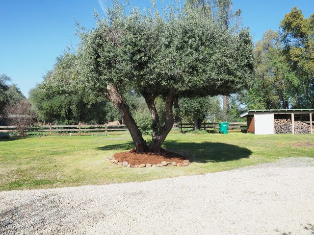 17039 Jay Dee Lane, Anderson, CA 96007