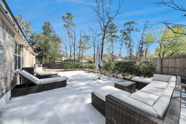 6 E Matisse Meadow Court, The Woodlands, TX 77382