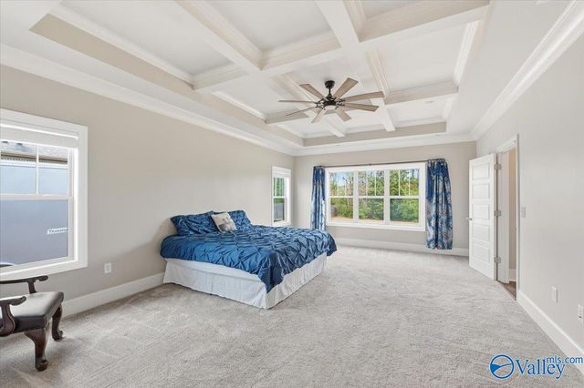 221 Coach Lamp Drive, Madison, AL 35758