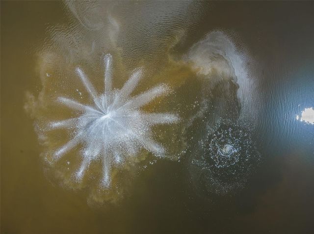 5052 STARFISH DRIVE SE D, St Petersburg, FL 33705