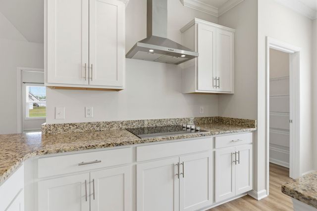 481 Honeyhill Loop, Conway, SC 29526