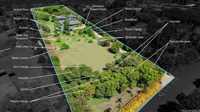 68-222 Olohio Street, Waialua, HI 96791