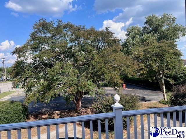 40 W Rigby St, Manning, SC 29102